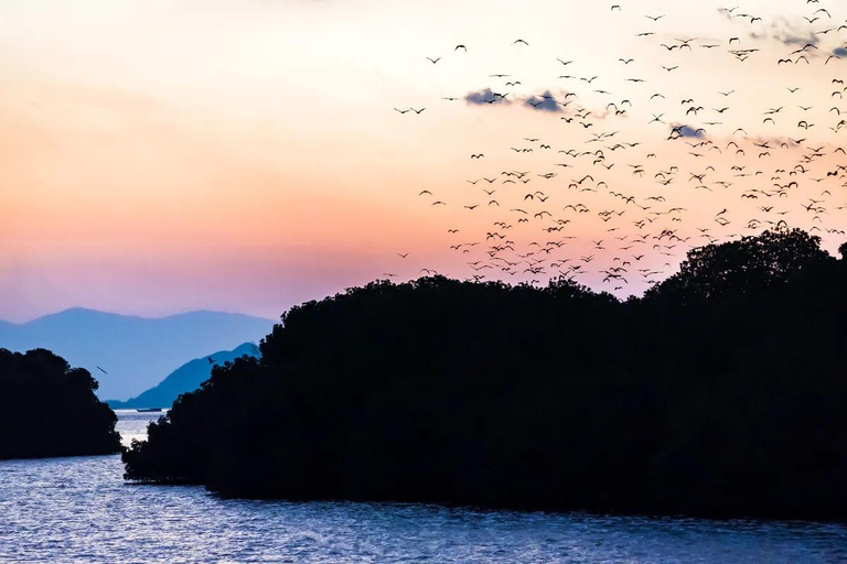 From Labuan Bajo: 3-Day Komodo Islands Boat Tour with Meals