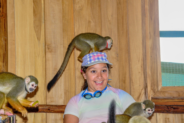 Punta Cana: Monkey Sanctuary, Farm & Cenote Swim Combo