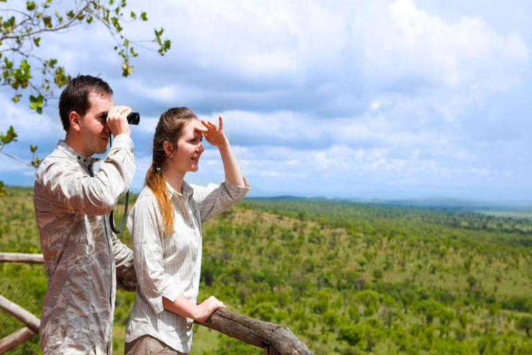 From Zanzibar:Mikumi Safari Day Trip with Flights and Lunch