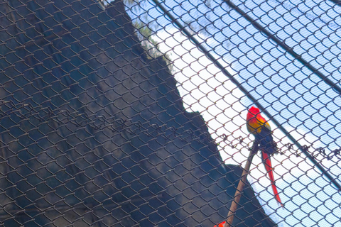 Tour of La Aurora Zoo, Historic Center, and Ciudad Cayalá in Guatemala