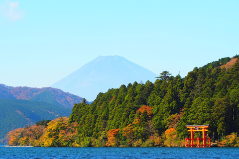 Tokyo: Hakone, Owakudani & Gotemba Premium Outlet 1-Day Tour From Shinagawa