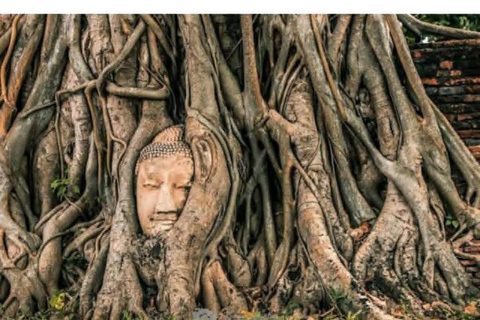 Bangkok: Ayutthaya Private Driver & Thai Host Day Trip