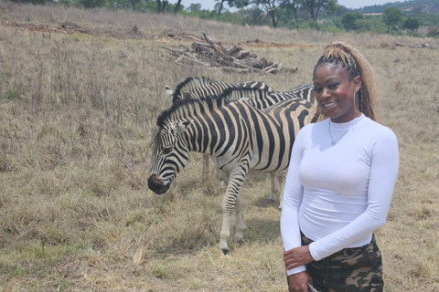 Rhino and Lion Park (Safari) and Cradle (Maropeng Museum) Private Tour