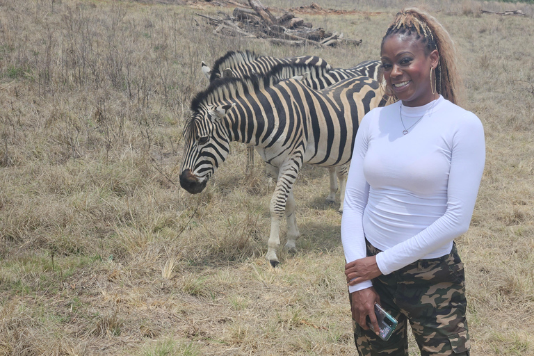 Rhino and Lion Park (Safari) and Cradle (Maropeng Museum) Private Tour