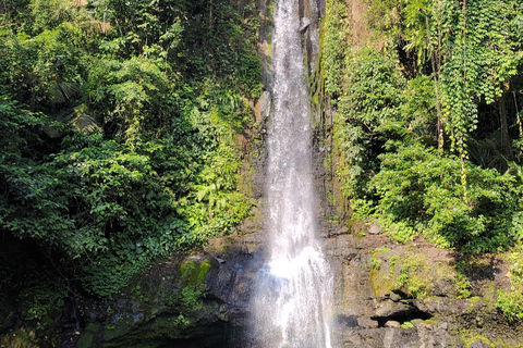 Jakarta nach Bogor: Tagesausflug zum Luhur Wasserfall und Lido See