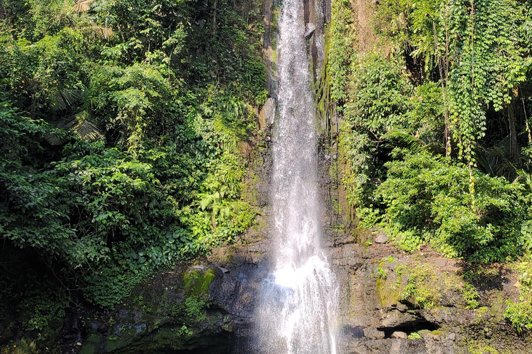 De Jakarta à Bogor : Excursion d&#039;une journée à la cascade de Luhur et au lac Lido