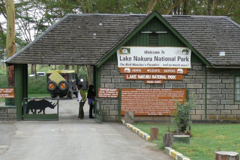 Lake Nakuru national park day trip from Nairobi