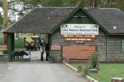 Lake Nakuru national park day trip from Nairobi