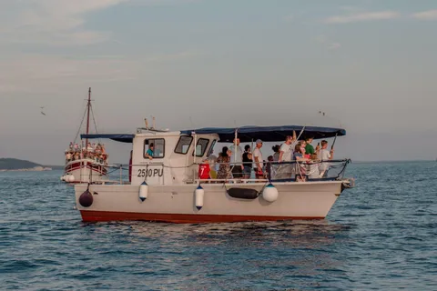 Fasana: Delfino e tramonto