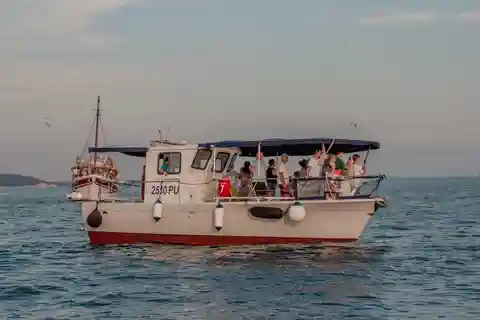 Fažana: Dolphin & Sunset