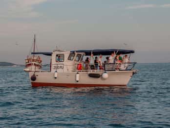 Fasana: Delfino e tramonto