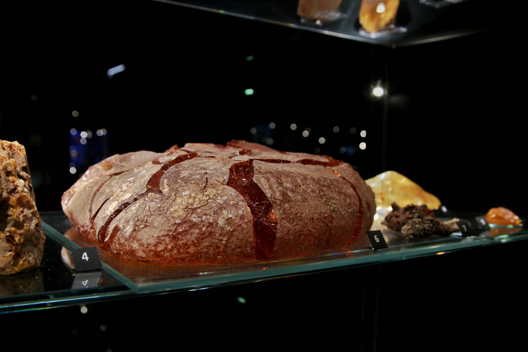Exclusive Gdańsk: Museums, Skyline Toast & Michelin Dinner