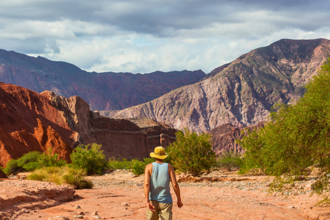 From Salta: Cafayate Full-Day Tour with Wine Tasting