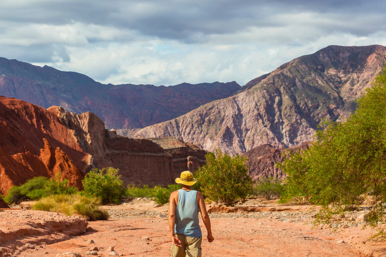 From Salta: Cafayate Full-Day Tour with Wine Tasting