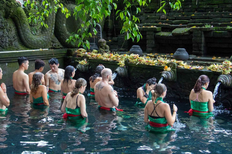 Ubud: Apenbos, Rijstterras, Schommel, Watertempel