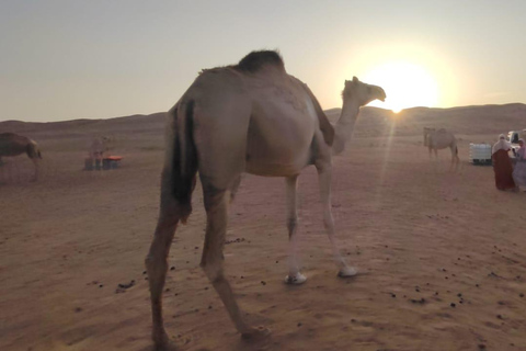 Muscat: 3-Day Oman Highlights Tour – Beach, Desert, Mountain