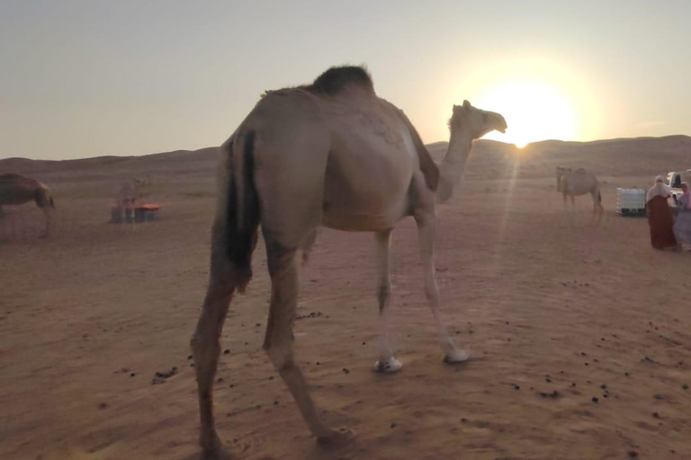 Muscat: 3-Day Oman Highlights Tour – Beach, Desert, Mountain