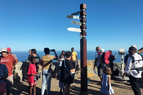 Private Tour: Cape Point, Penguin Beach, Chapmans Peak &more