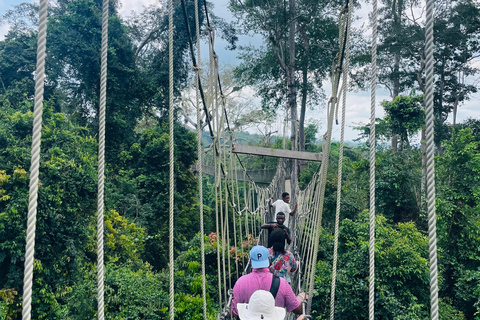 Gana: excursão de 8 dias em dezembro com Afrofuture/vida noturna