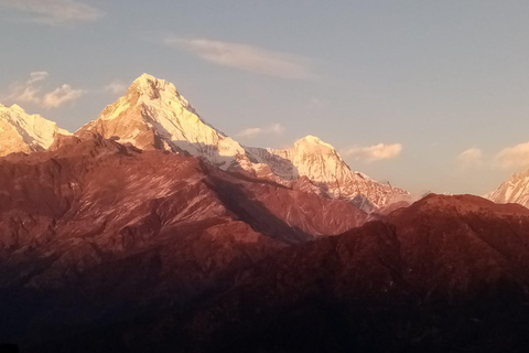 Von Pokhara aus: 5 Tage Poon Hill mit Natural Hot Spring Trek