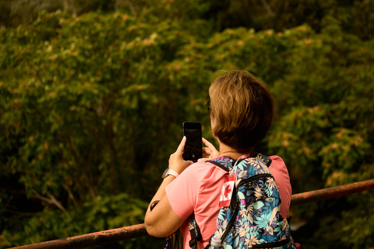 From Florence: Cinque Terre Day Trip with stop in Pisa Cinque Terre: Semi-Private Tour