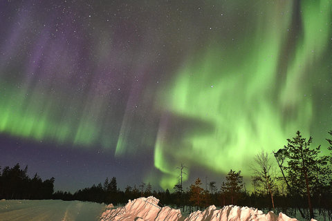 Rovaniemi: Private Aurora Hunting Tour with MealRovaniemi: Private Aurora Hunting Tour with Dinner