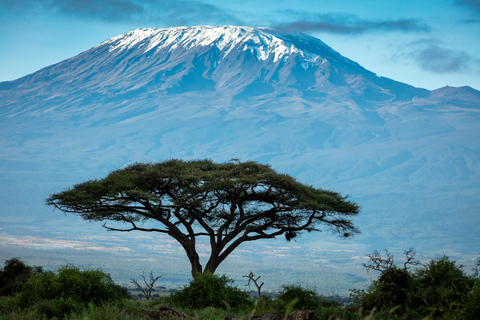 Safári de 7 dias em Masai Mara, Lago Nakuru e Amboseli em jipe 4x4