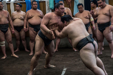 Tóquio: Excursão de visualização da prática matinal de sumôTour de sumô em Ryogoku