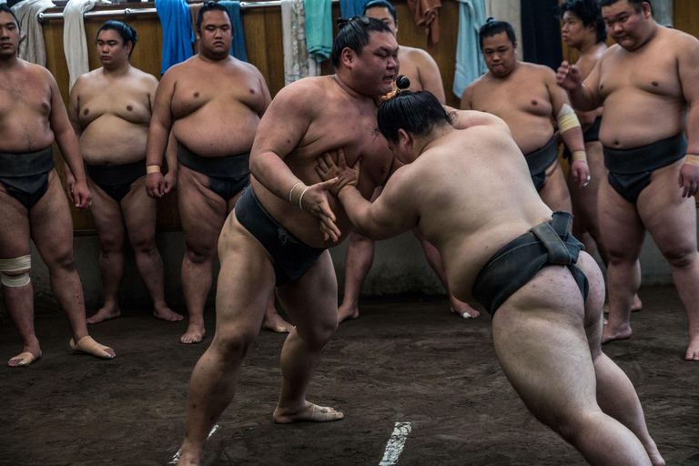 Tokyo : visite d'une écurie de sumo le matin