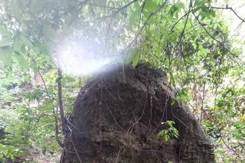 Barranquilla: Caminata en los bosque de bajo obstion-juaruco