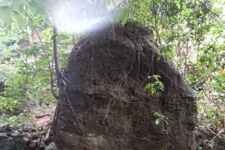 Barranquilla: Wanderung durch die niedrigen Obstion-Juaruco-Wälder