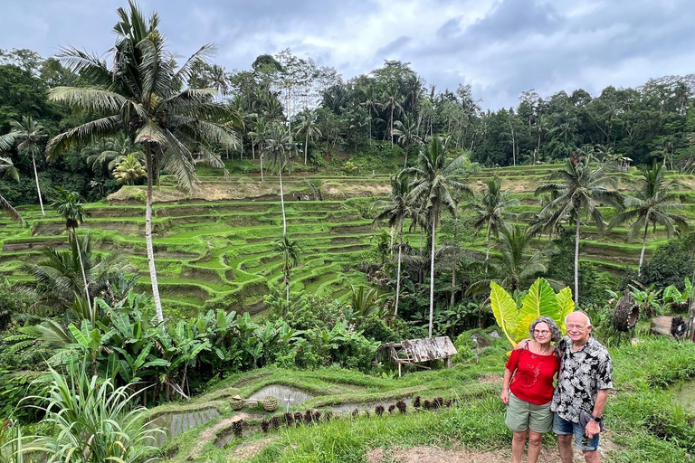Ubud: Private Half-Day Tour Rice Terrace, Temple & Waterfall Private Ubud Half-Day Tour (Without Entrance Ticket)