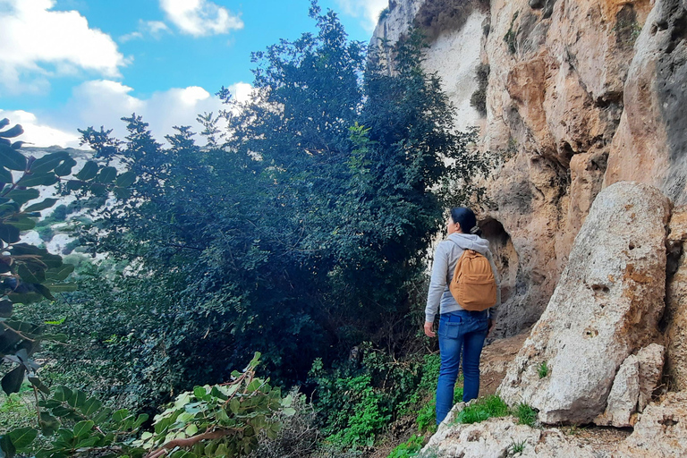 Gozo Unveiled Hiking: A Guided Hike Tour in Gozo- South East