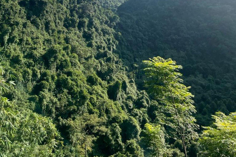 De Hanói: Excursão de 1 dia em grupo ao Pagode Perfume com almoçoPasseio com teleférico