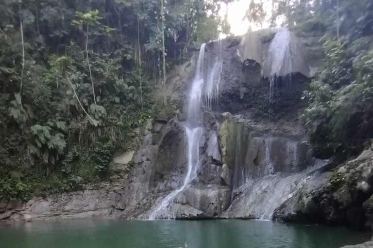 Porto Rico : Randonnée sur la rivière Gozalandia et visite des chutes d&#039;eau