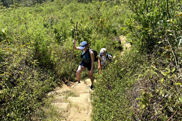 Tedo 7 Waterfalls Peak Adventure – Knuckles Mountain Range
