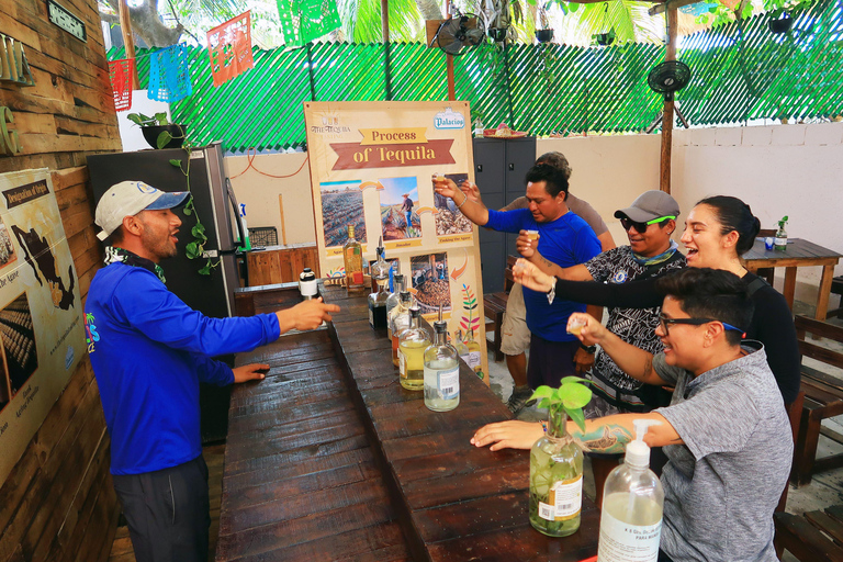 Tour della città e dei tacoTour della città e dei taco da Cancun