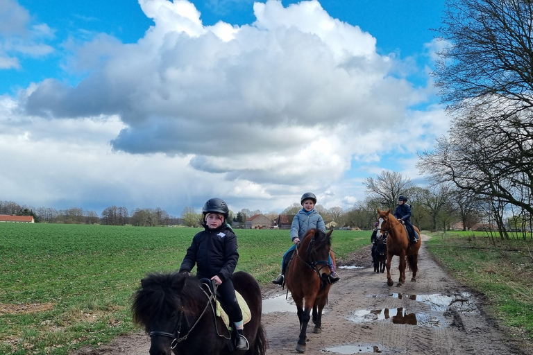 Paalzow: Riding lessons on reliable school horses