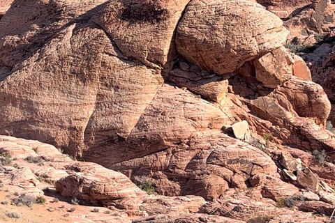 Las Vegas: Red Rock Jeep Tour with Hotel Pickup