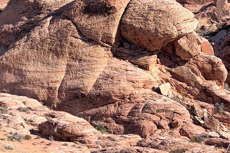 Las Vegas: Red Rock Jeep Tour with Hotel Pickup