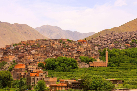 Marrakech:Atlas Mountains, Ourika Waterfall with guide+Lunch Marrakech:Atlas Mountains, Ourika Waterfall with Guide+Lunch