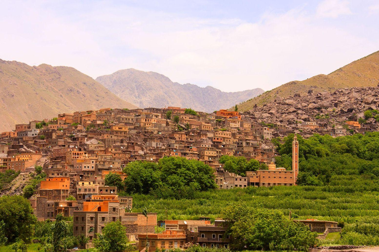 Marrakech:Atlas Mountains, Ourika Waterfall with guide+Lunch Marrakech:Atlas Mountains, Ourika Waterfall with Guide+Lunch