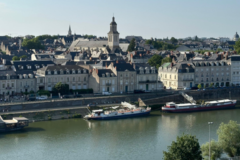 Angers: Château d'Angers, Wine Tasting, and Lunch Tour