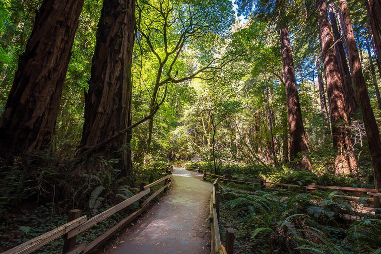 Wycieczka w małej grupie do San Francisco, Sausalito i Muir Woods