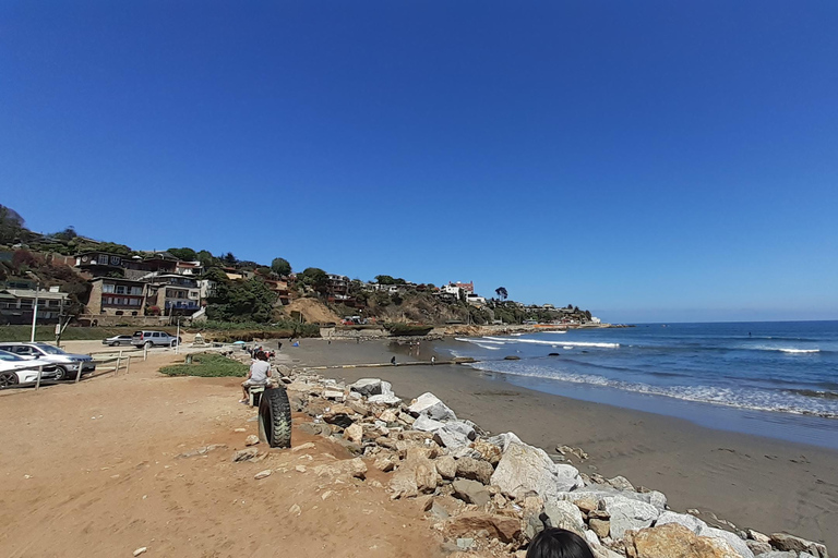 比尼亚德尔马、雷尼亚卡和康康之旅