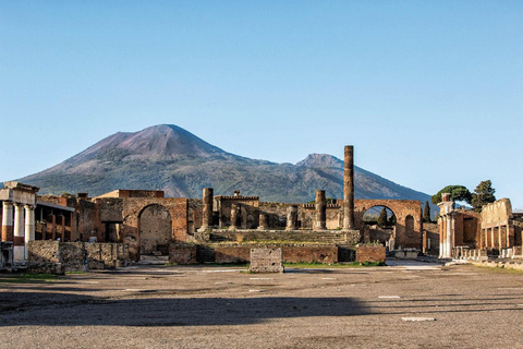 Sorrento: Private Transfer from Naples with Pompeii Visit Option 2 NO Stop Pompeii