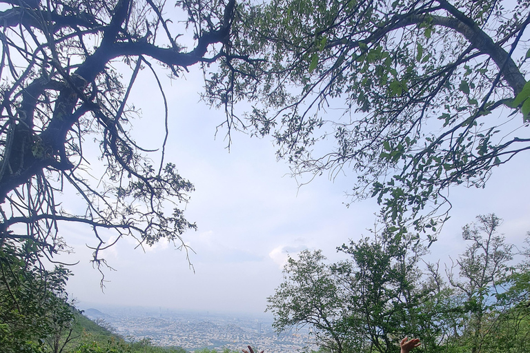 Monterrey: Pet-friendly hiking in Cerro del Chupón