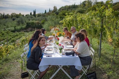 Diner in de wijngaard Franse Rivièra