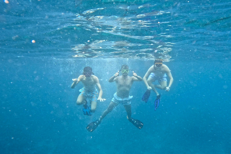 Phi Phi Islands: Shark Snorkeling Phi Phi Islands: PRIVATE VIP Shark Snorkeling - 4h
