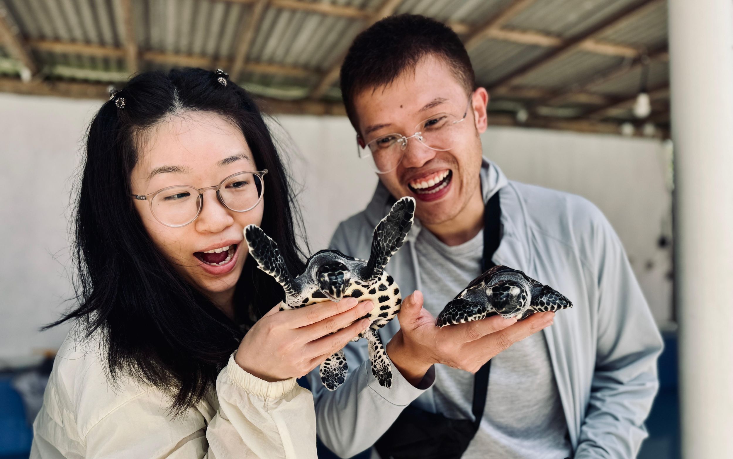 Bali: Nusa Penida: Schildkrötenschutz, riesiger Höhlentempel